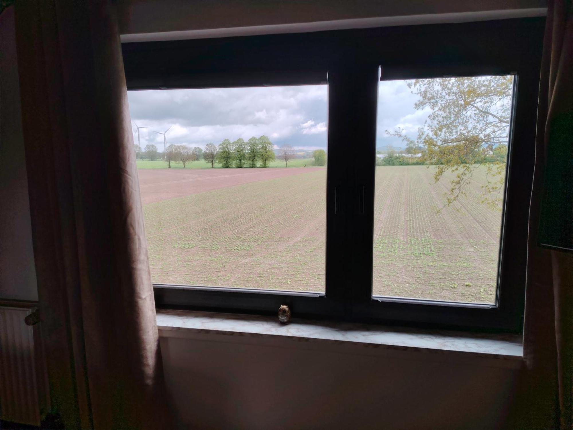 Brini'S Ferienwohnung Im Gruenen Lage  Eksteriør billede
